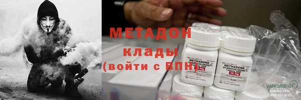 прущие грибы Аркадак