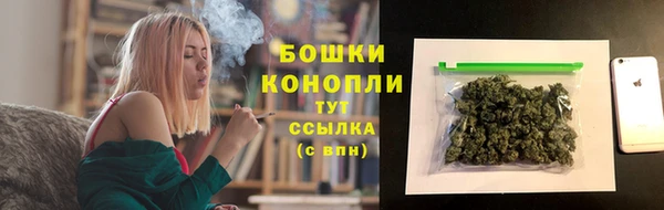 ешки Арсеньев
