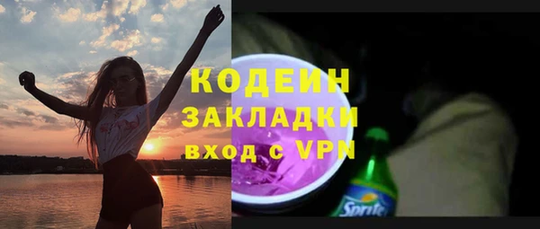 прущие грибы Аркадак