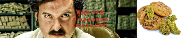прущие грибы Аркадак