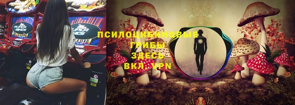 ешки Арсеньев
