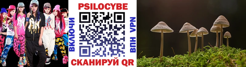 Псилоцибиновые грибы ЛСД где найти наркотики MEGA ссылка Чадан