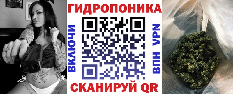магазин продажи наркотиков  Чадан  Шишки марихуана ГИДРОПОН 